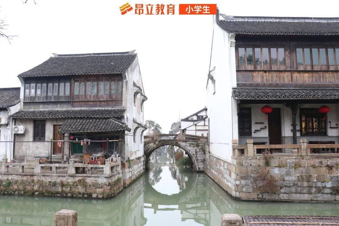 诱捕小浣熊